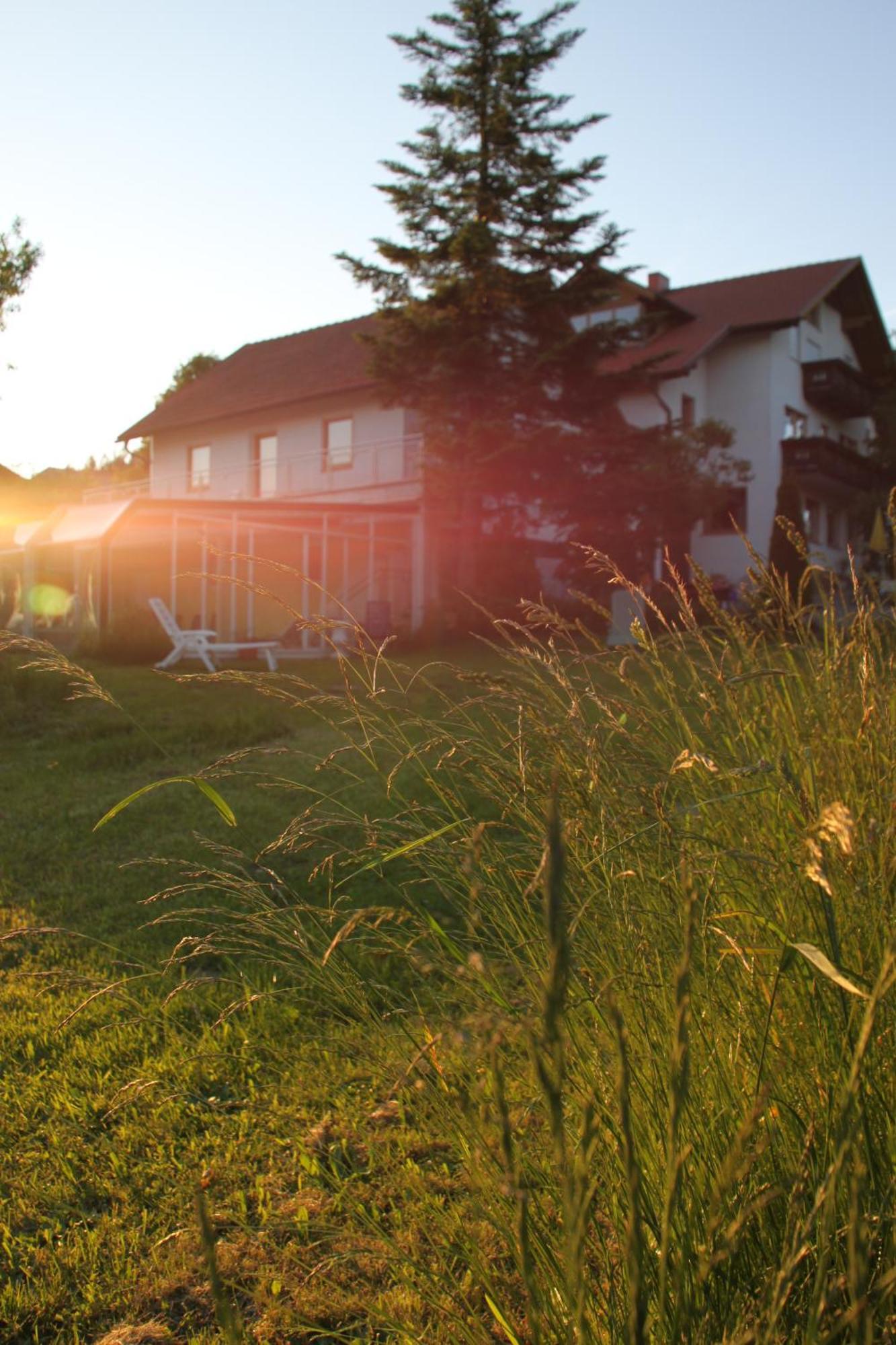 Gasthof-Pension Zum Haugstein - Familie Eder إنغليهارتزيل المظهر الخارجي الصورة