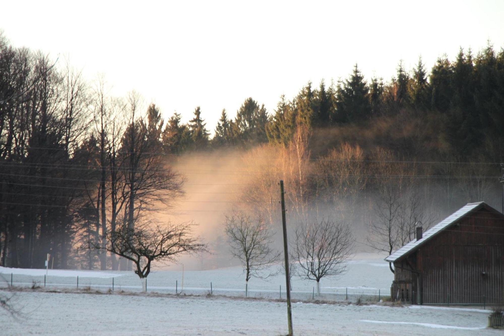 Gasthof-Pension Zum Haugstein - Familie Eder إنغليهارتزيل المظهر الخارجي الصورة